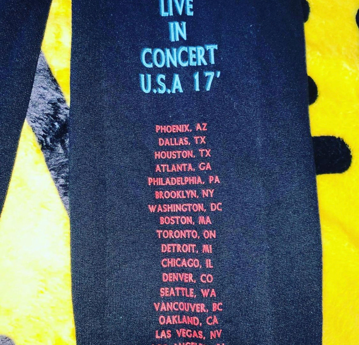 DAMN Tour ‘17 Baby Doll Black Hoodie