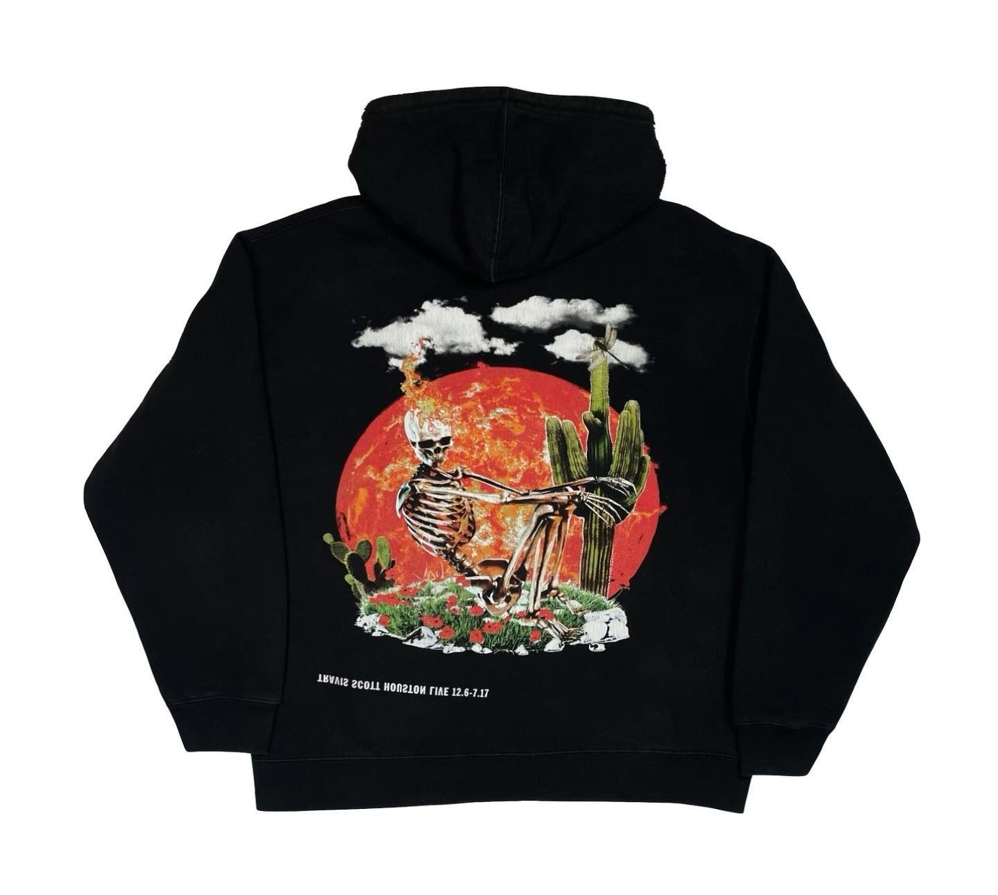 Birds Beat Bash Houston Hoodie